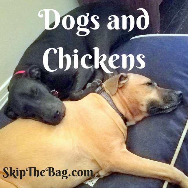 Skip The Bag Dogs And Chickens