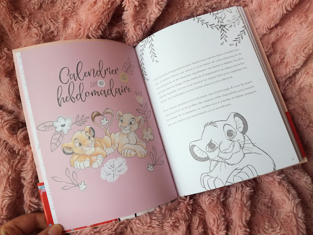 Disney Bullet Journal 