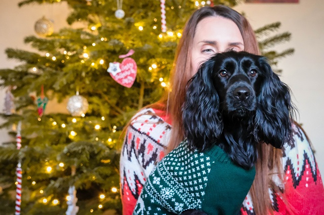 How to Have the Best Christmas With Your Pet