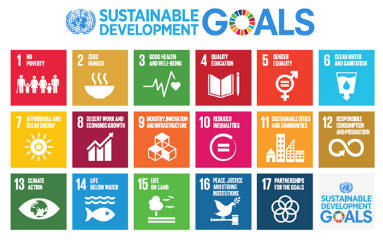 http://www.undp.org/content/undp/fr/home/sustainable-development-goals.html