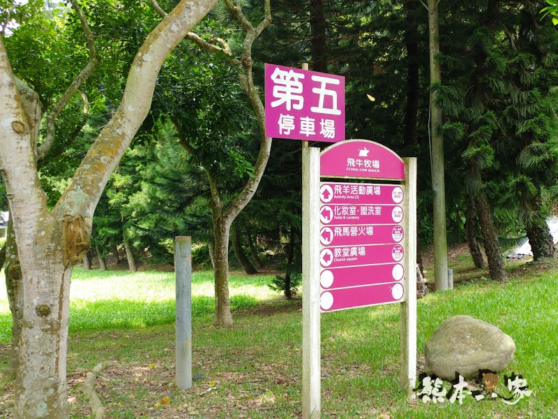 苗栗婚紗IG打卡景點|教堂廣場-飛牛牧場|寬敞露營營地設有盥洗區烤肉區好便利
