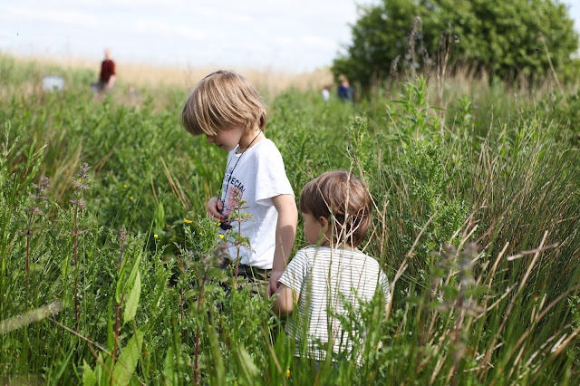 Newport wetlands