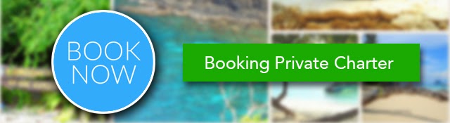 Booking Private Charter
