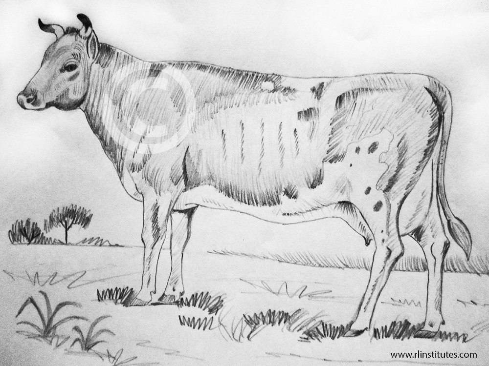 BSc Animation-Madurai: Pencil Drawing - Inimai Ponnusamy Ganesan