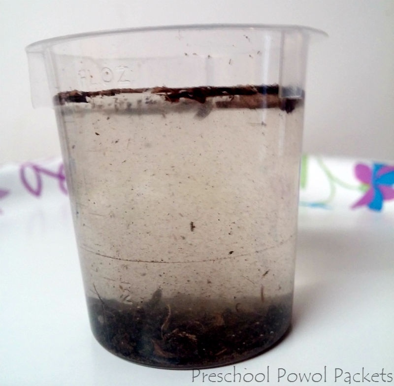 How do fish breathe...and hermit crabs too! (a gill experiment