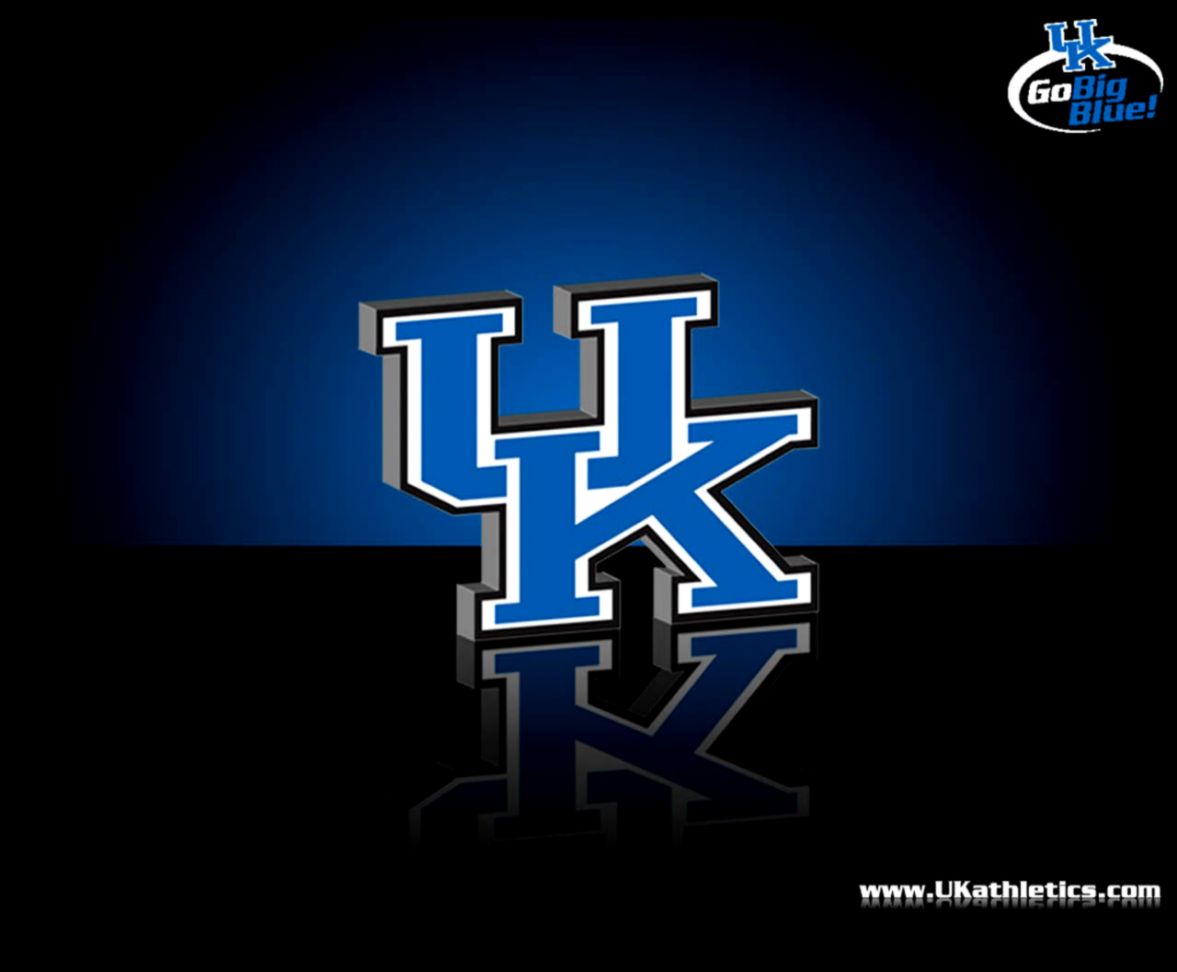 kentucky wildcats   Free Large Images