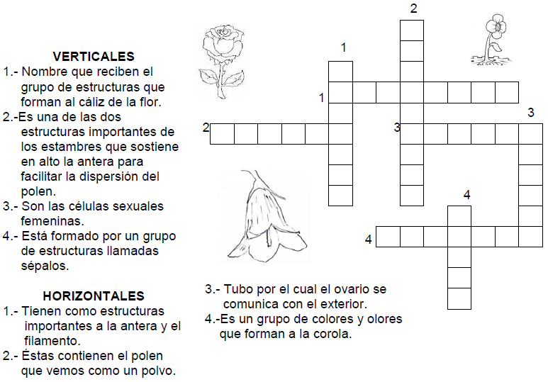 Las Ciencias Sociales: Tema 2: El Reino de las Plantas