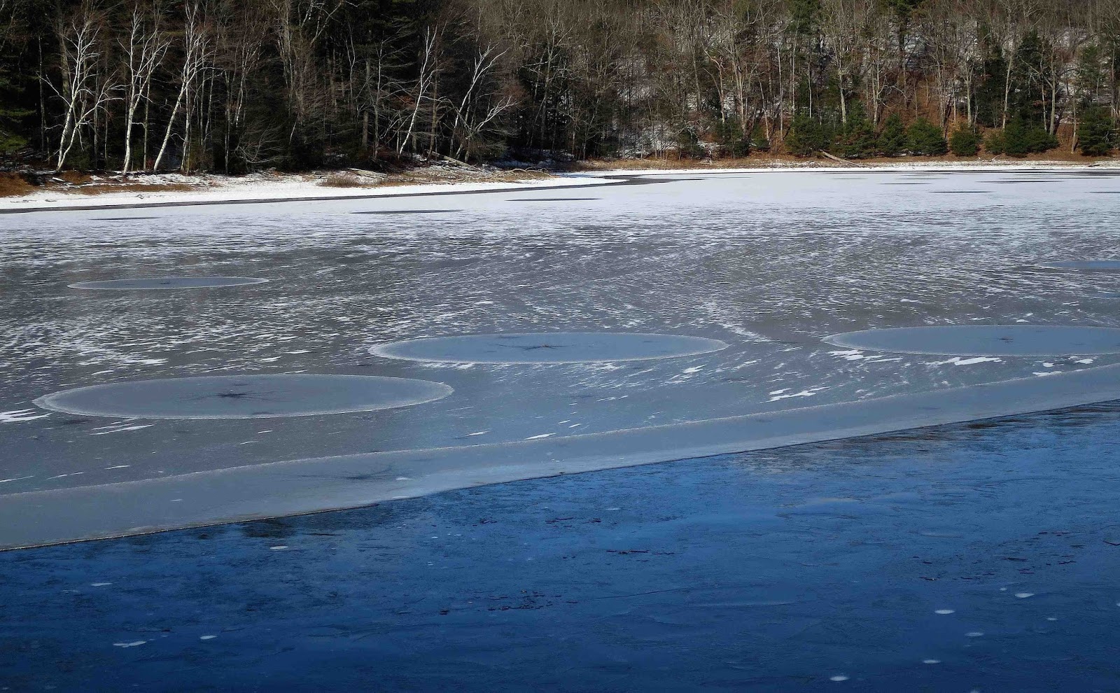 Saratoga woods and waterways: 2016