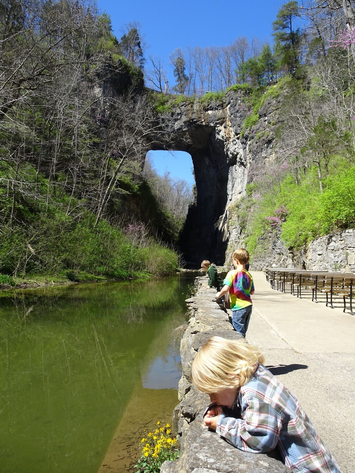 Femme au foyer Natural Bridge State Park, Virginia