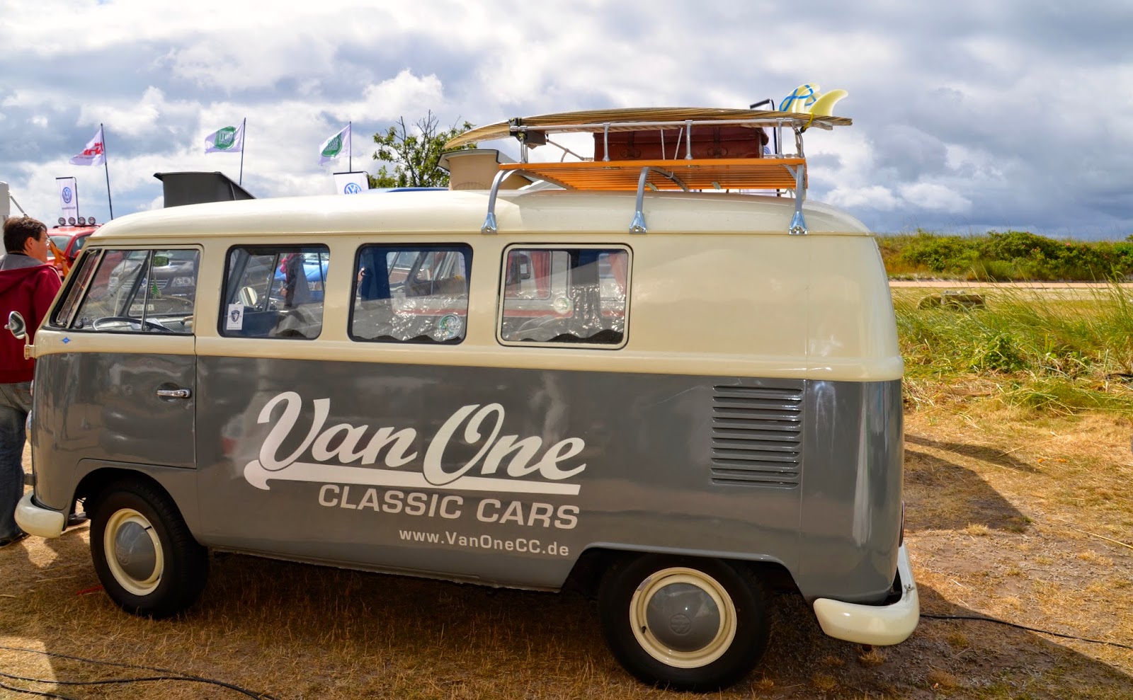  Fehmarn mit Hund: Bullitreffen auf Fehmarn am 20.06.2014 Bildidee 