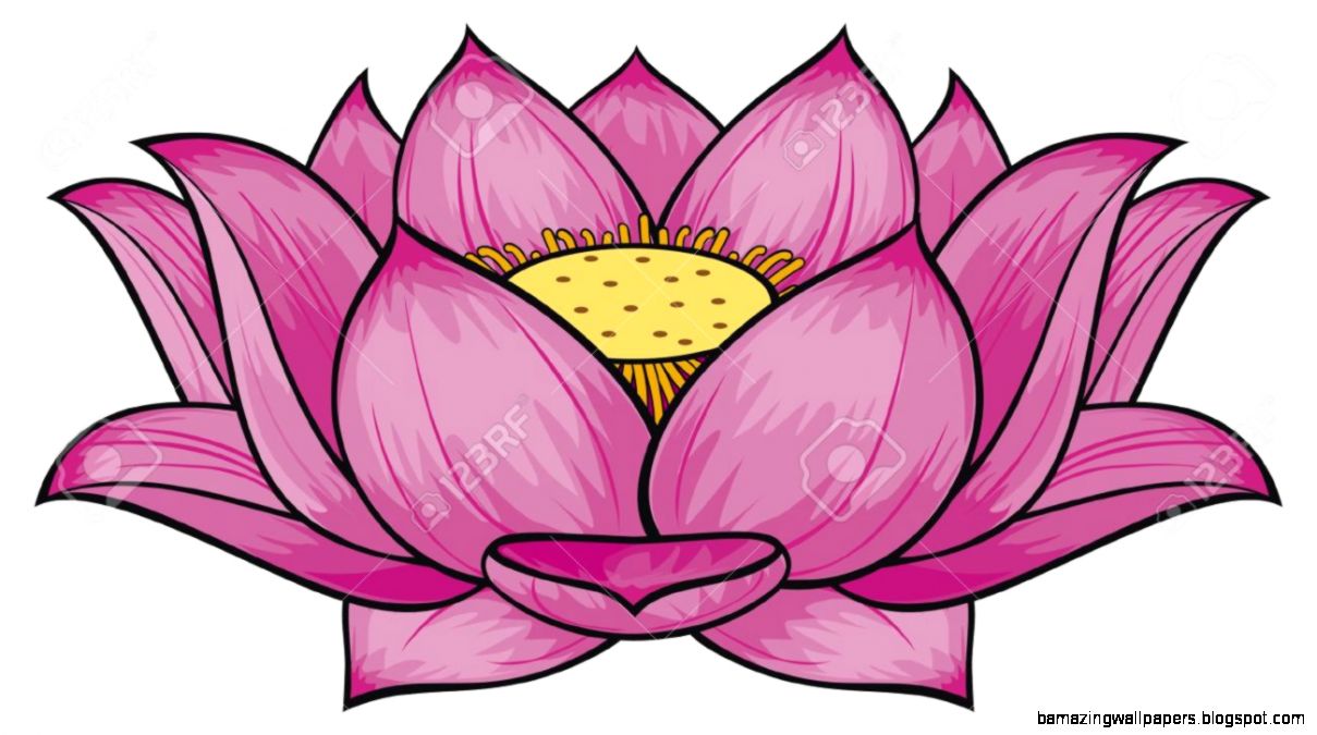 Lotus Flower Drawing Color