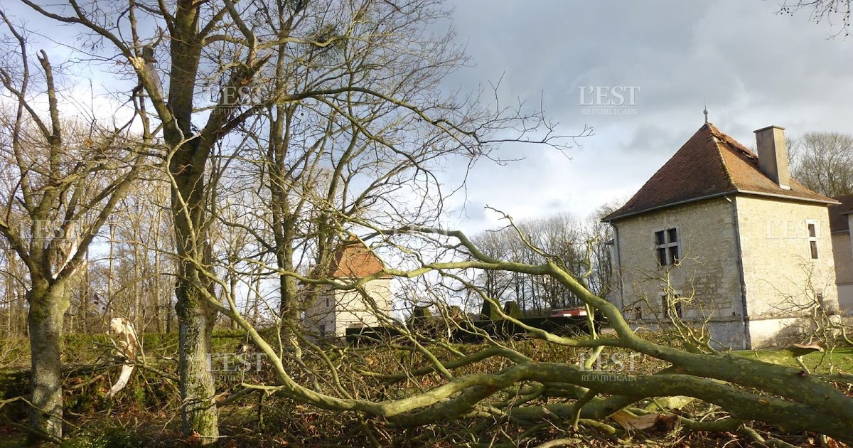 Les soupirs de la Muse: Le jardin de la vie