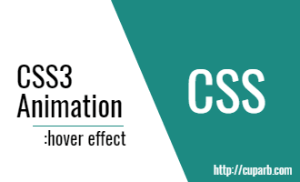 20 hiệu ứng hover tuyệt đẹp cho hình ảnh và văn bản bằng CSS3