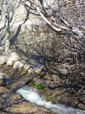 Deadman's Creek