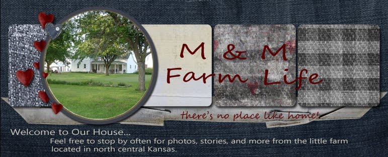 M&M Farm Life