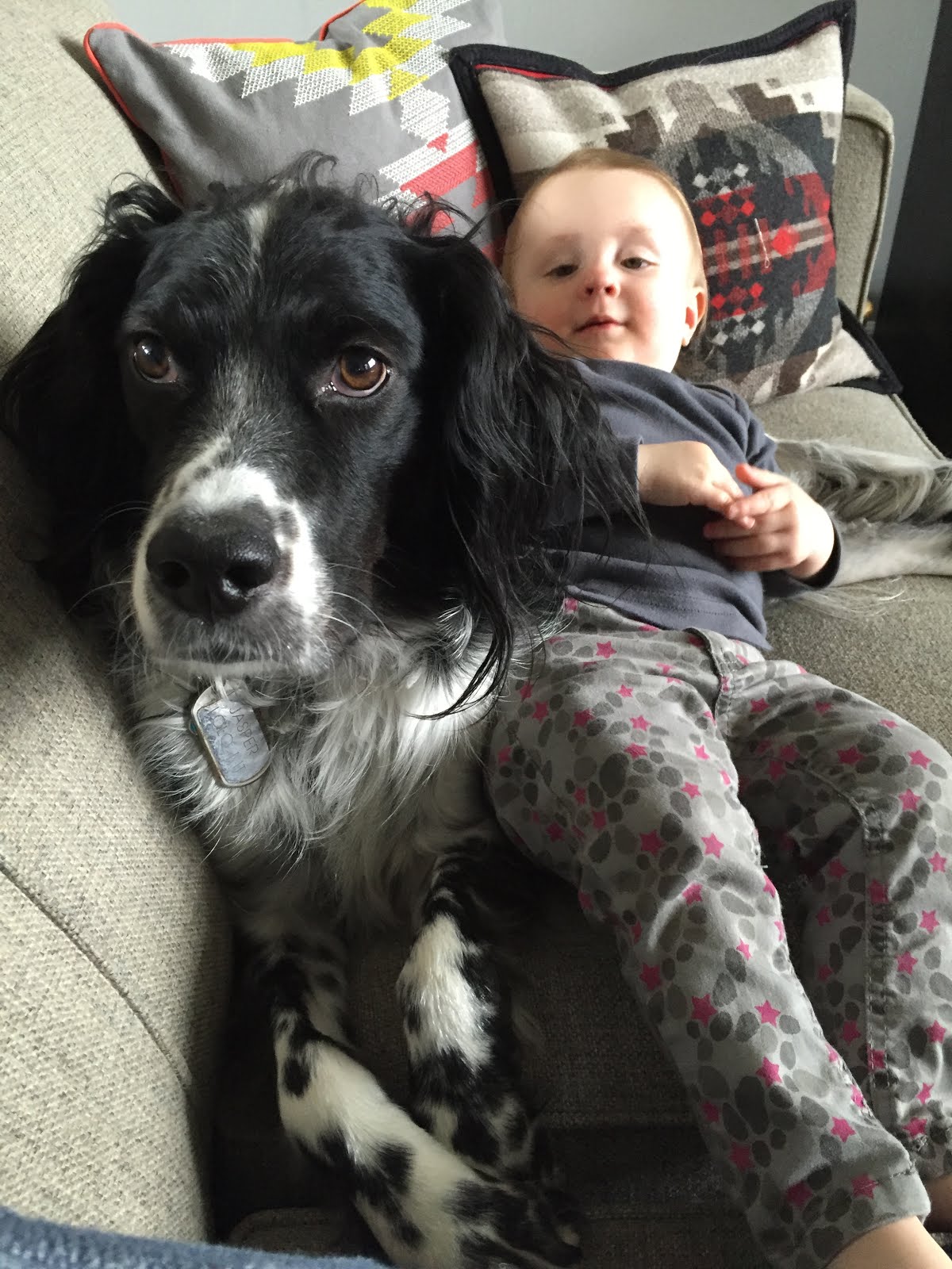 Krutzpack Moving On After AML April 2016