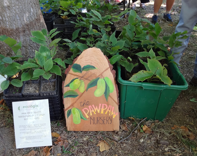 Live and LearnToss and Turn Paw paws