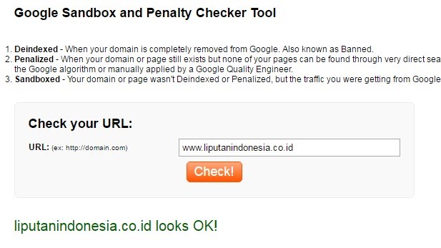 Website To Google Sandbox And Penalty Checker Tool Liputanindonesia