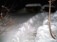 Path in snow to garage shelter for feral cats