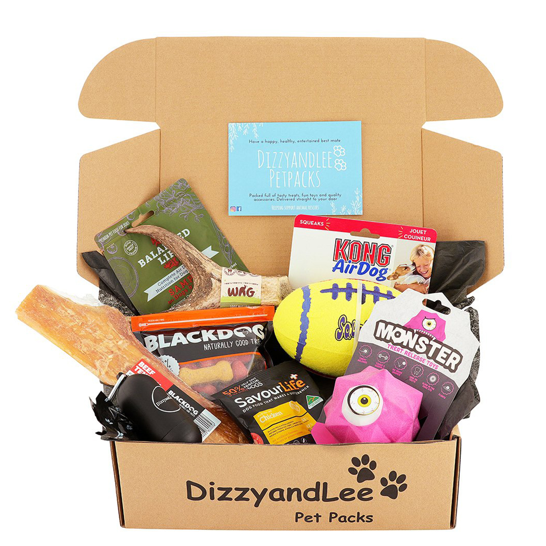 DizzyandLee Dog Subscription Box Review Australian Dog Lover