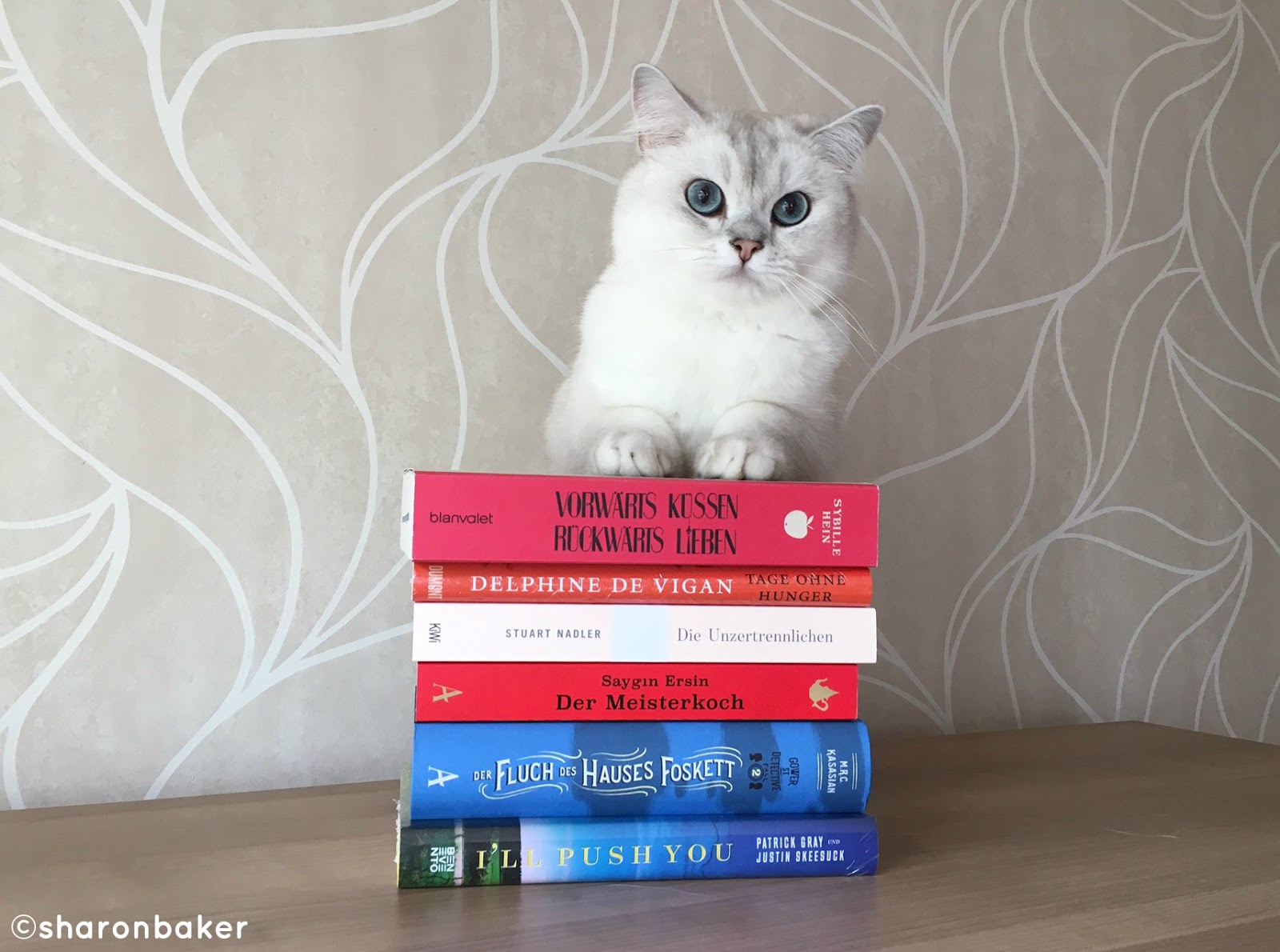 Der Virtuelle Stuhlkreis Einfach Stephie