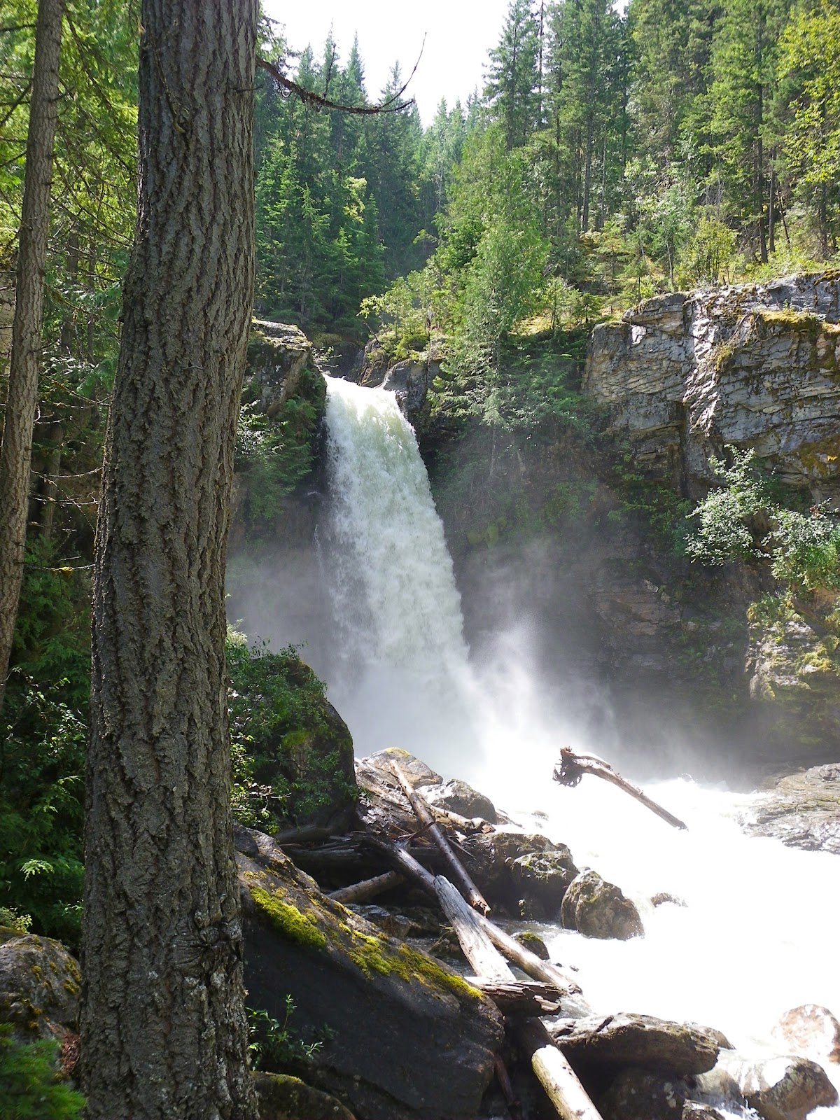 PICKING POSIES BLANKET CREEK PROVINCIAL PARK