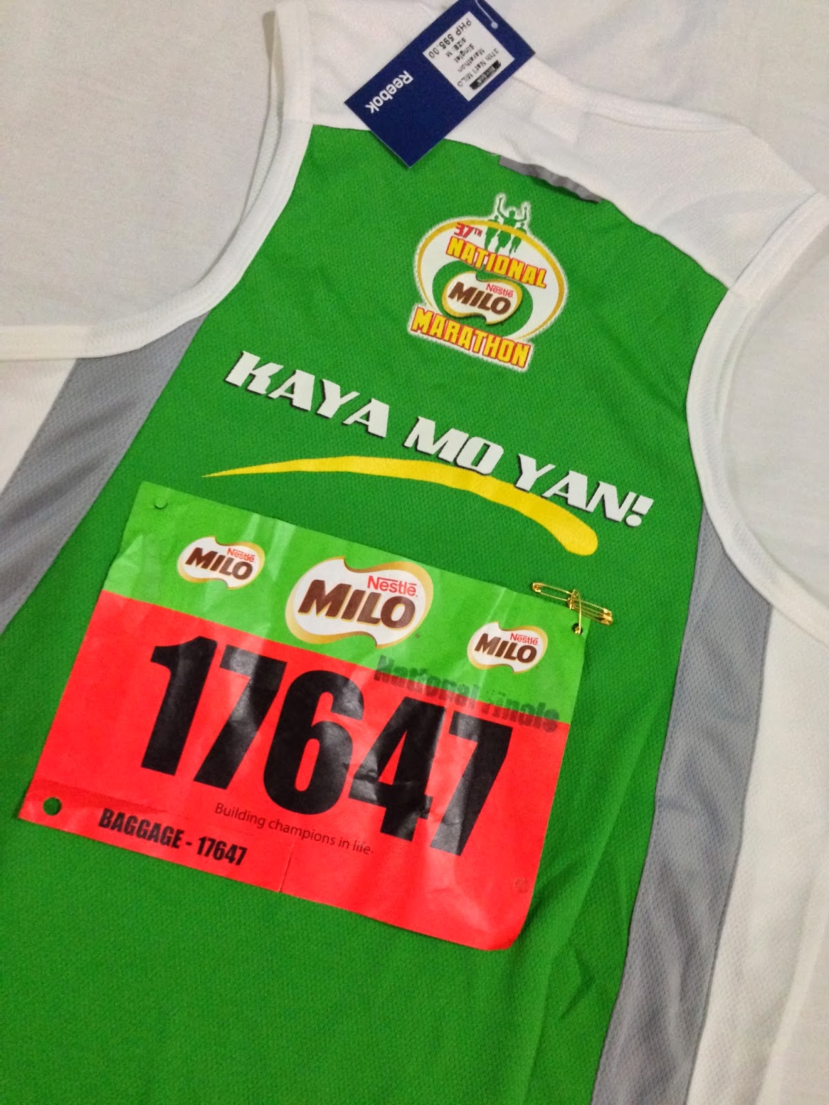 Running: 37th National Milo Marathon Manila Finals 2013 (Philippines)