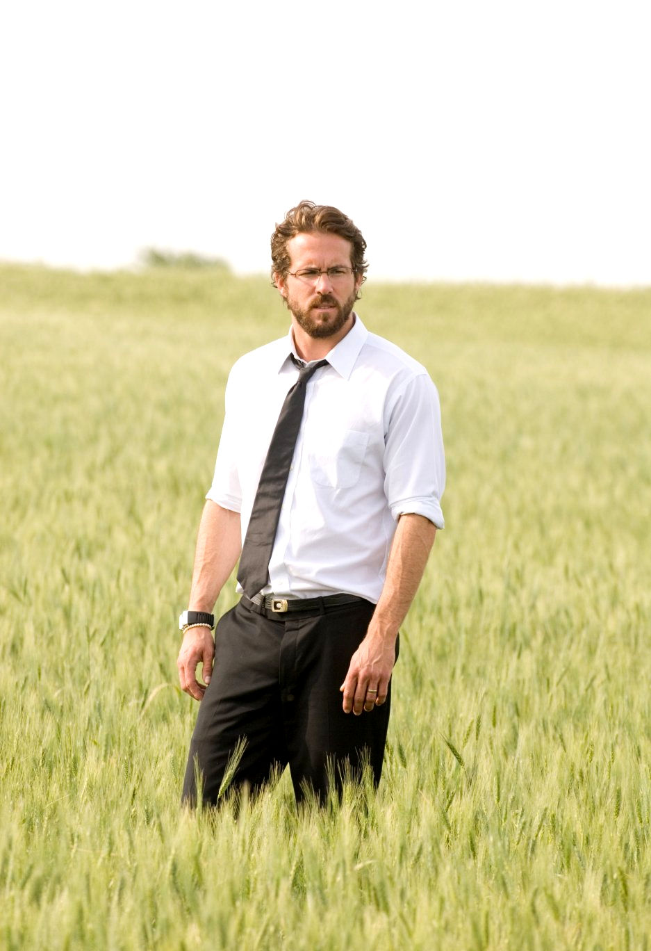 DVD Review - Fireflies in the Garden