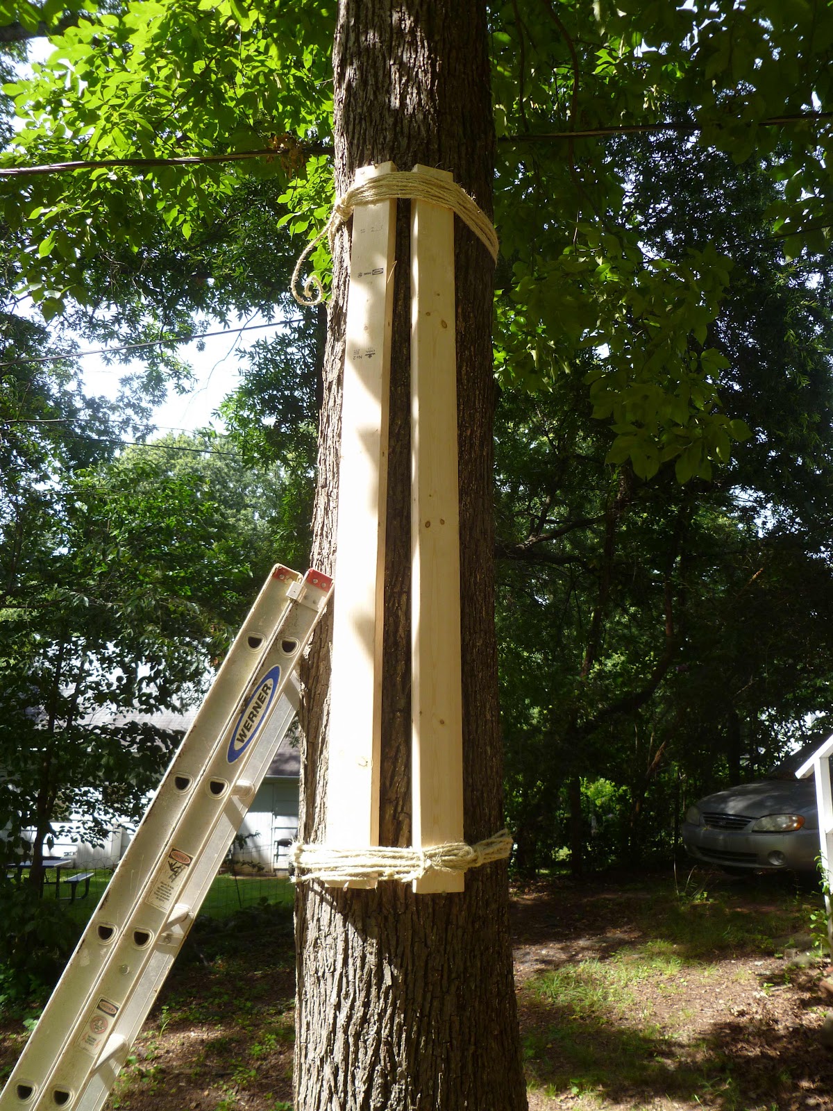 How to Make a Climbing Pegboard for Less than 30 Pro Bodyweight Workouts