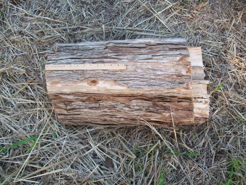 Gye Greene's Thoughts: Two short logs