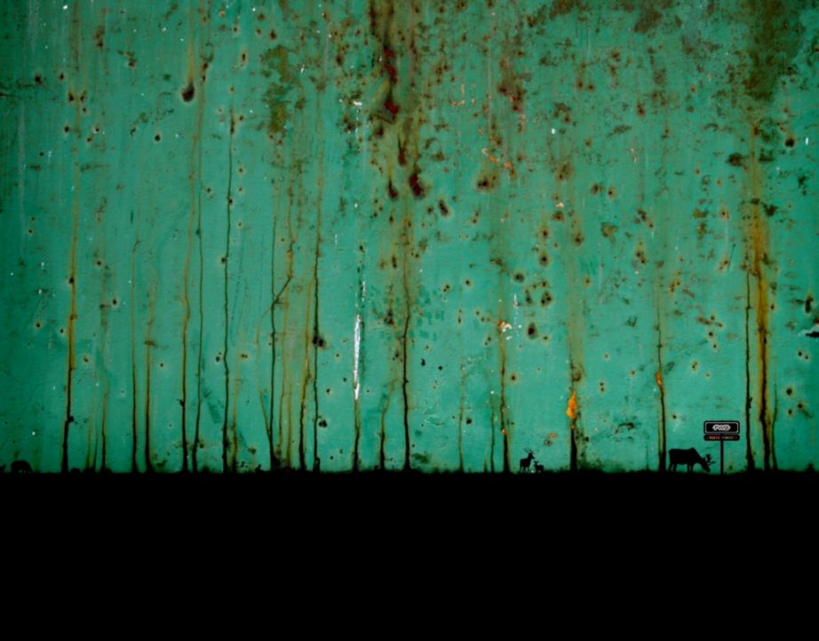 rustic wallpaper   Google Search  Rainbow lodge  Pinterest