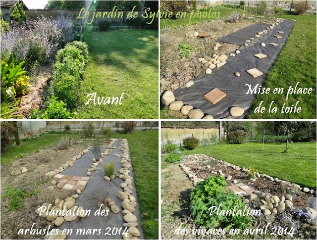 Aménagement, création nouveau massif