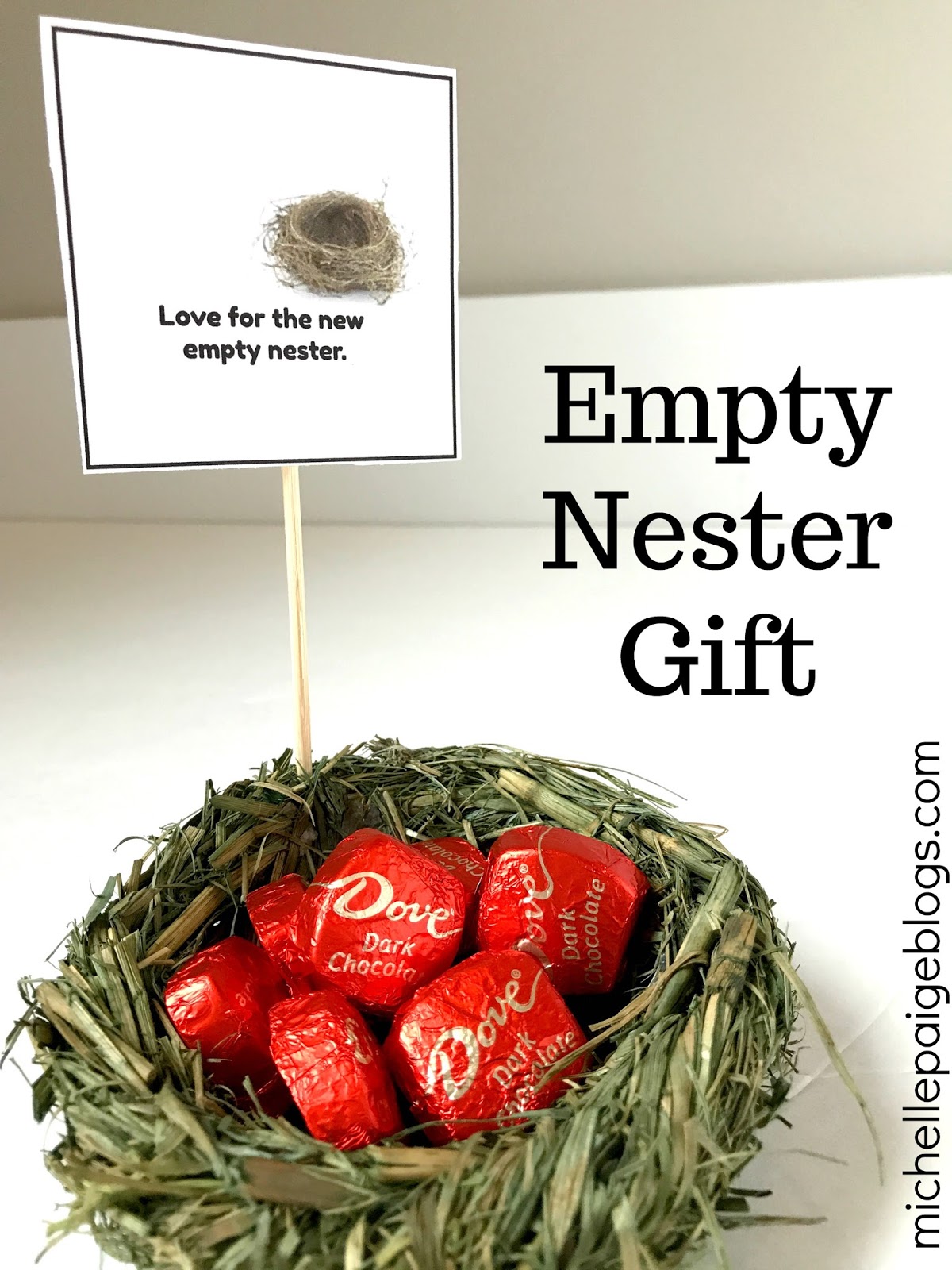 michelle paige blogs: Empty Nester Gift