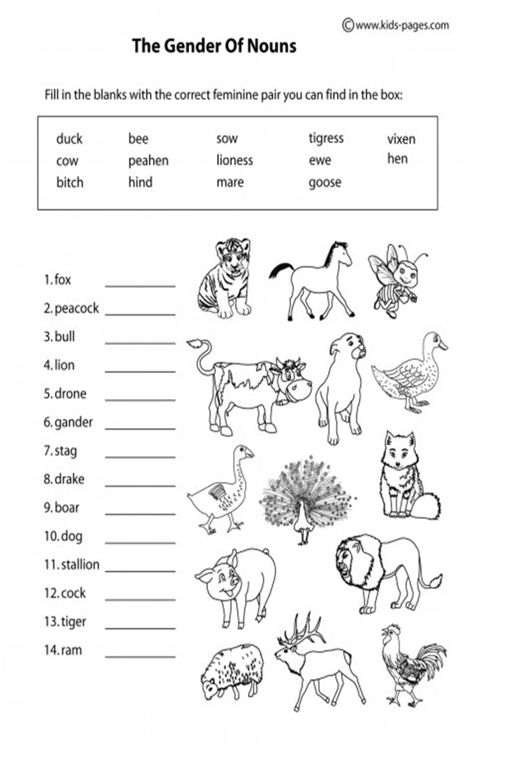animal worksheet: NEW 481 ANIMAL EGGS WORKSHEET