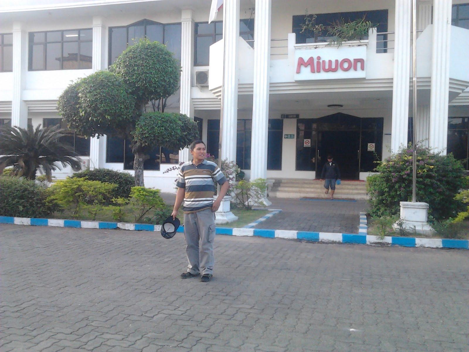 Penanaman rumput taman di PT. MIWON INDONESIA km 24 kecematan driyorejo kabupaten gresik Juni Tahun 2022 ~ JUAL RUMPUT TAMAN DAN BIBIT RUMPUT TERNAK