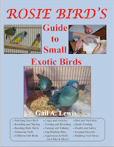 Bird Wisdom Shared! Click My Book Cover to Buy on Amazon.