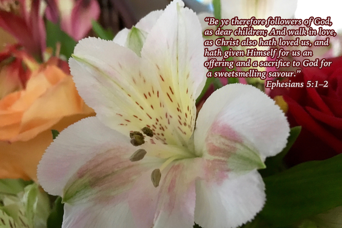 The Prophecy Puzzle FLOWERS OF TRUTH