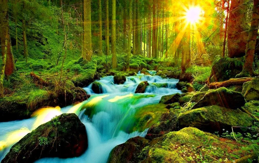 Kehijauan Alam Semula Jadi