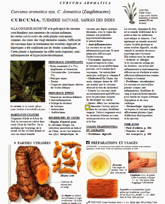download-dictionnaire-larousse-des-plantes-m-dicinales-french-biblio