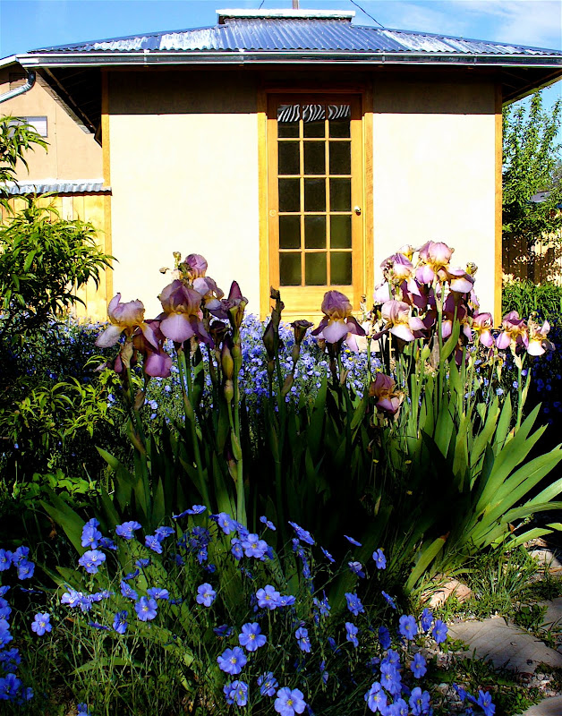 Home Design Images And Photos: Home Design Alternatives Sheds