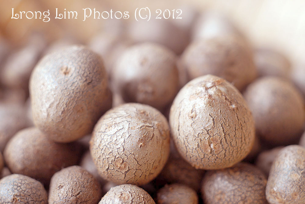 Potager Y Japan Japanese yam aka 'Jinenjo' and the Beautiful Blog