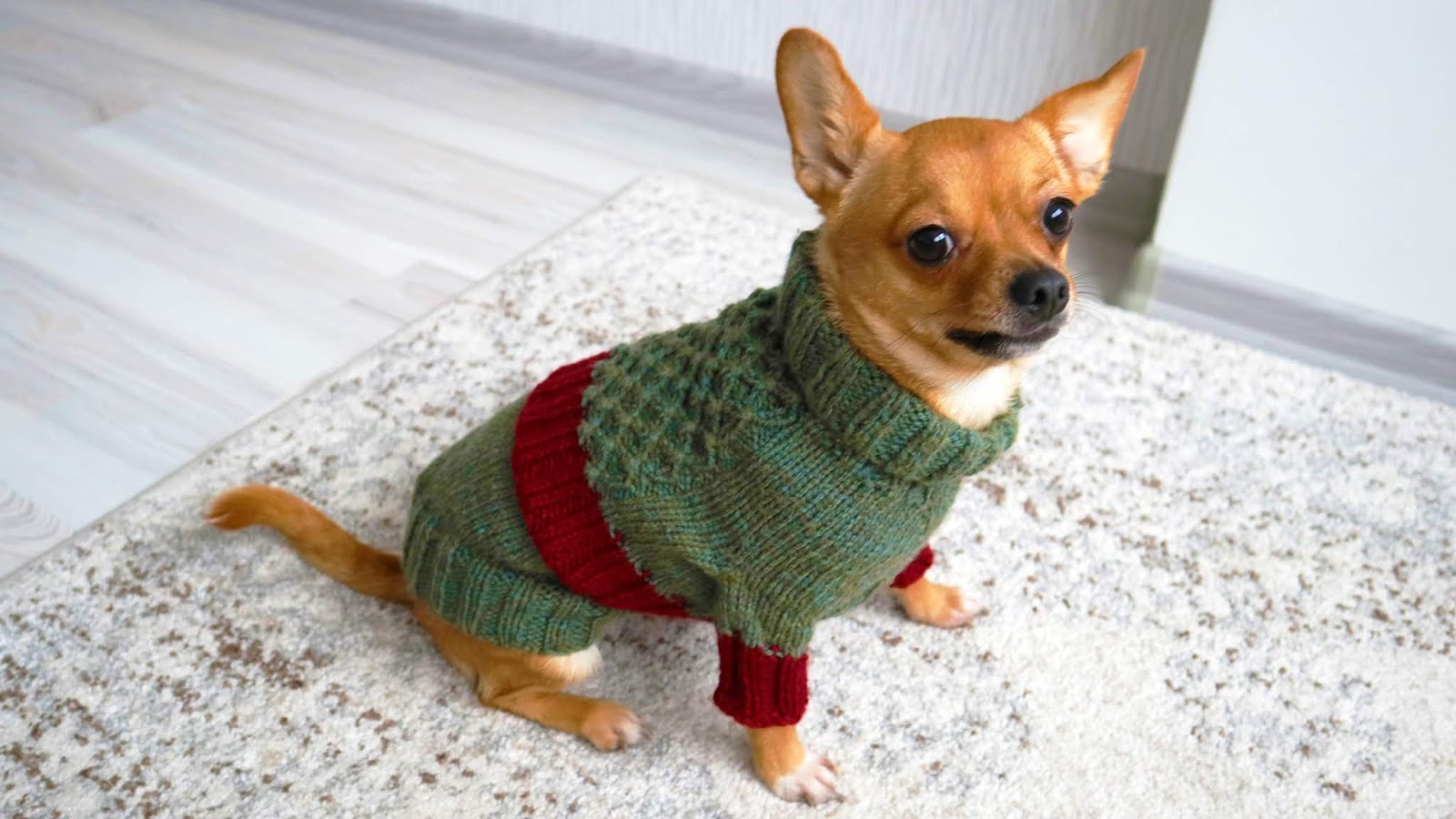 Dog Sweater Knitting Pattern