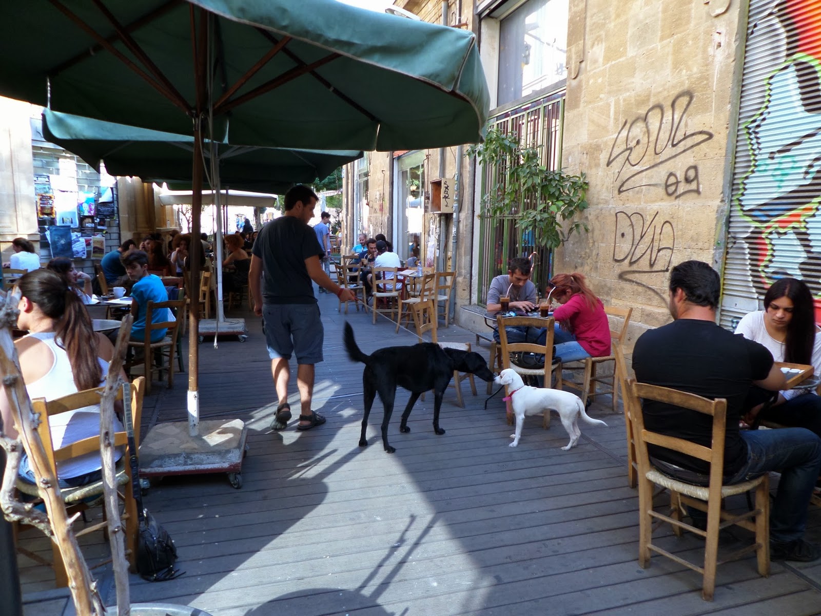 Travel Cyprus With Your Dog Eating and drinking in Nicosia... with