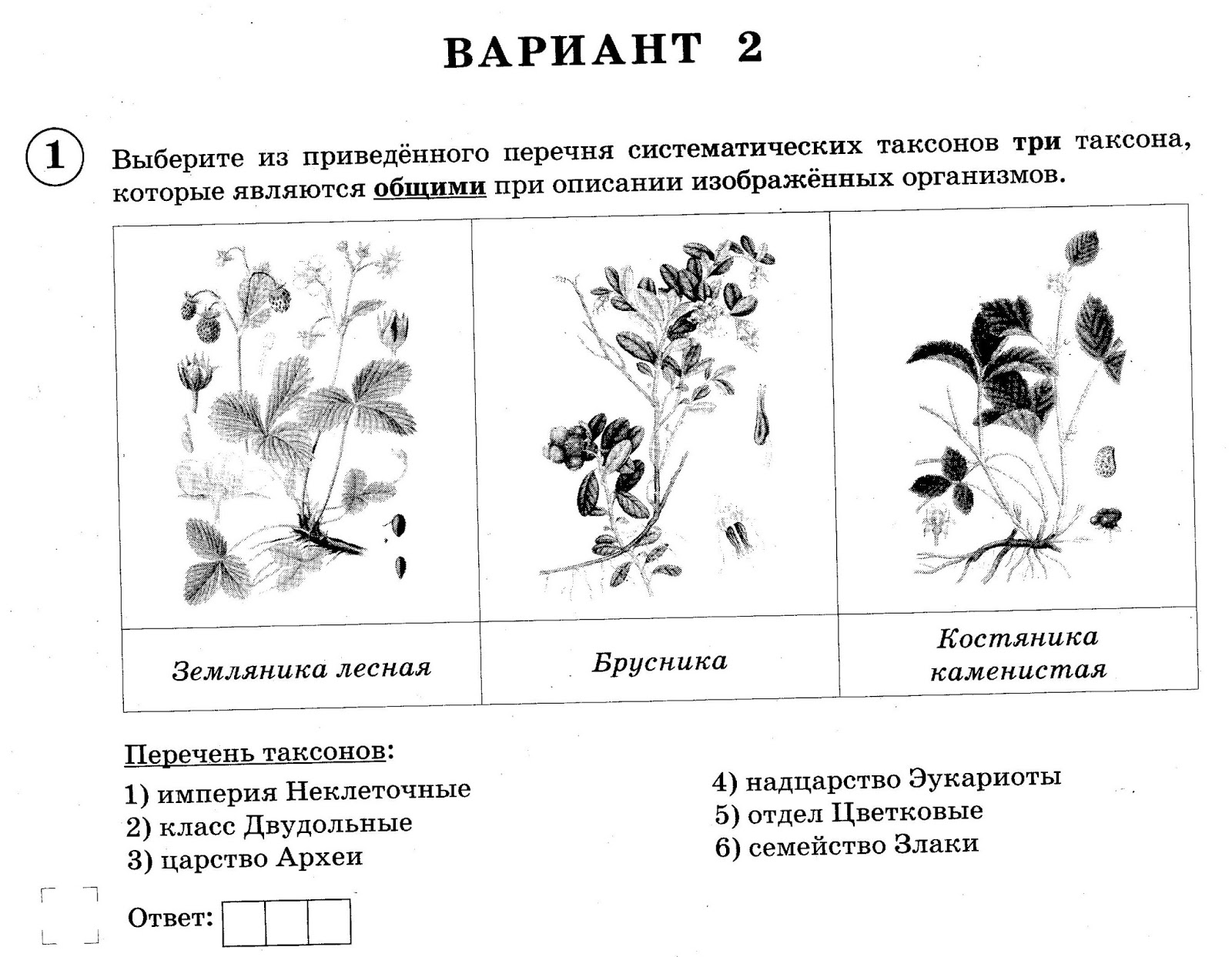 Рассмотрите изображение объектов живой природы 1.1. Рассмотрите изображение различных объектов живой природы. перечень систематических таксонов. выберете три таксона которые являются общими. впр по биологии рисунок дерево.