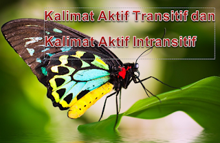 Contoh Kalimat Aktif Transitif dan Kalimat Aktif Intransitif