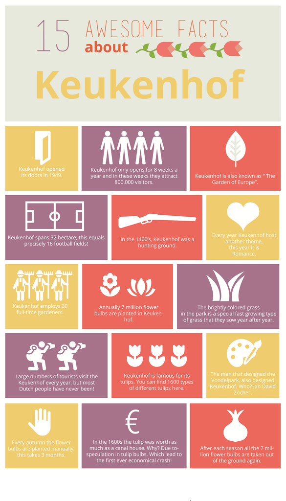 Holland America Port Of Call Costa Maya Mexico Travel With Leanne