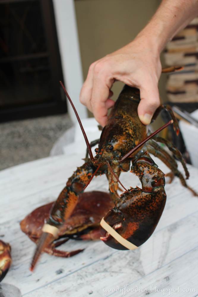 GoodyFoodies Recipe OvenGrilled Lobster with Herb Garlic Butter