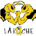 La Ruche (Gay Bar in Lyon, France)