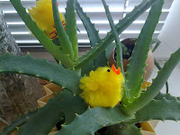 эффект радуги для рамки радужная рамка