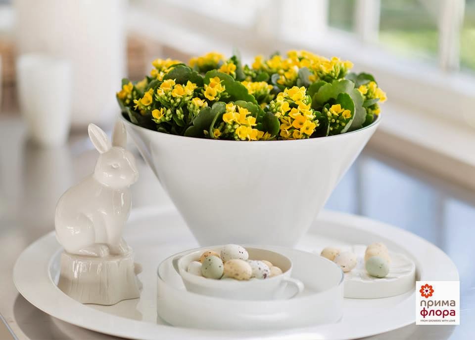 A Silk Flower Depot Blog Spring hint